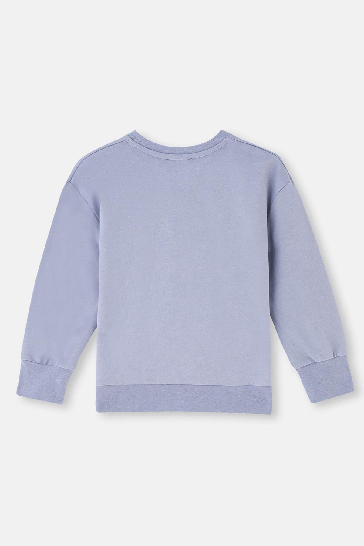 Buz Mavisi Buz si Uzun Kol Bisiklet Yaka Önü Baskılı Sweatshirt