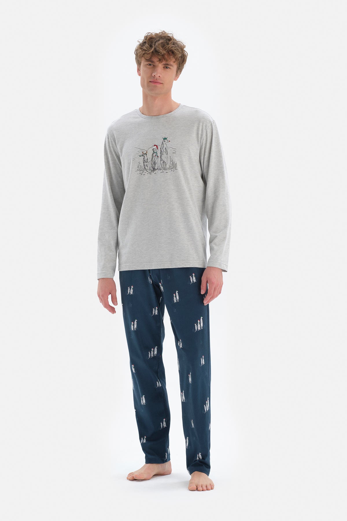 Gri Uzun Kol Bisiklet Yaka Pamuklu Pijama Takımı