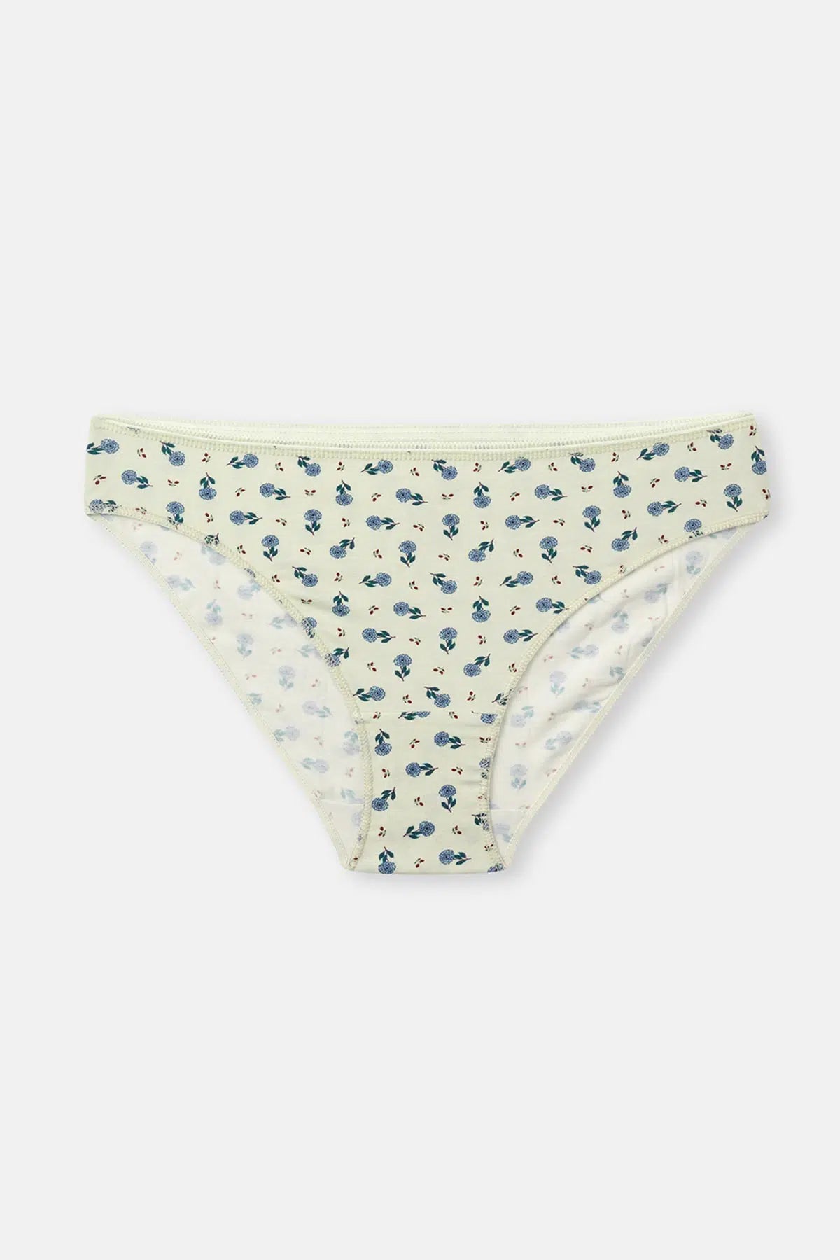 Gül Kurusu-Mint Kadın 3'lü Desenli Brief Külot