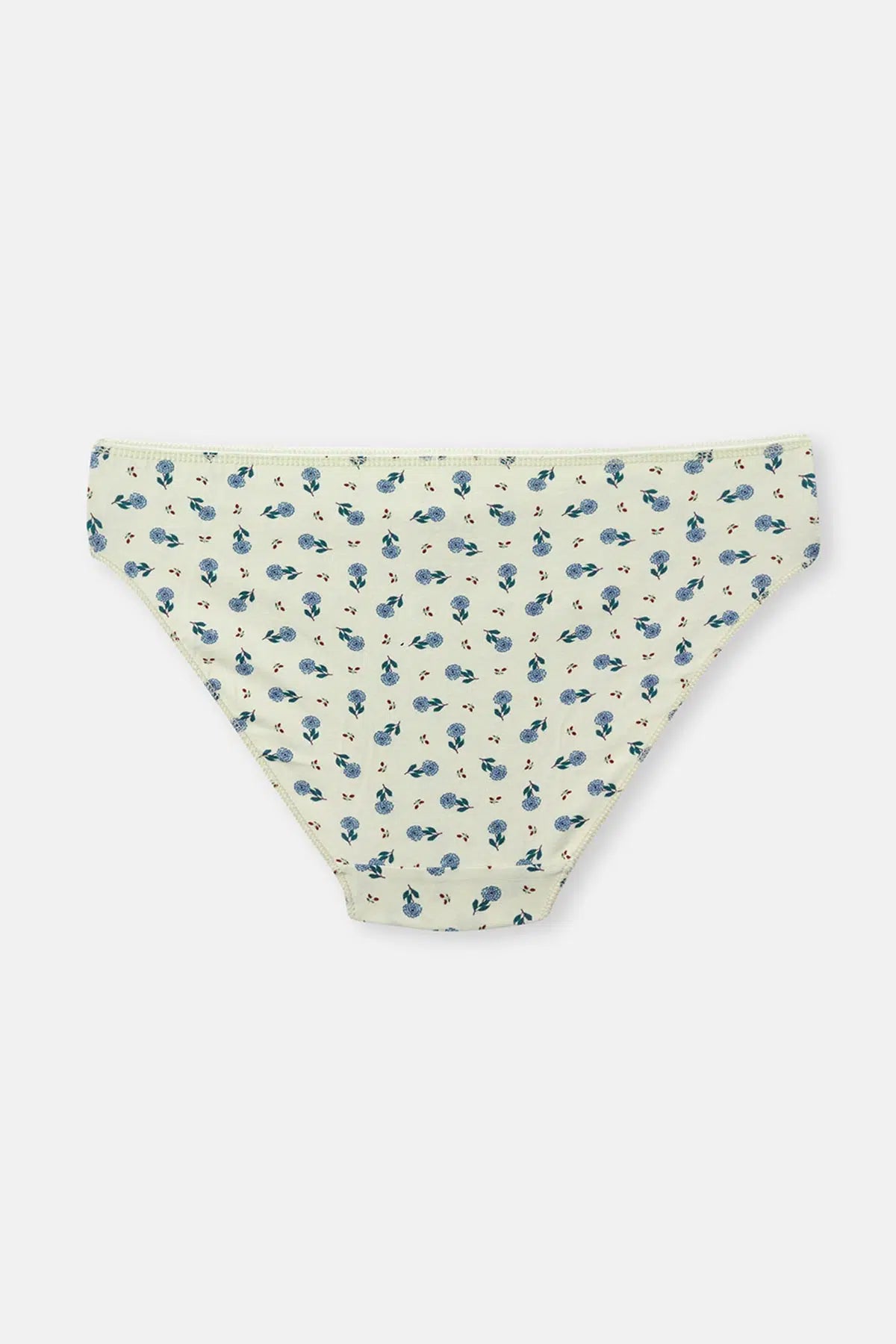 Gül Kurusu-Mint Kadın 3'lü Desenli Brief Külot