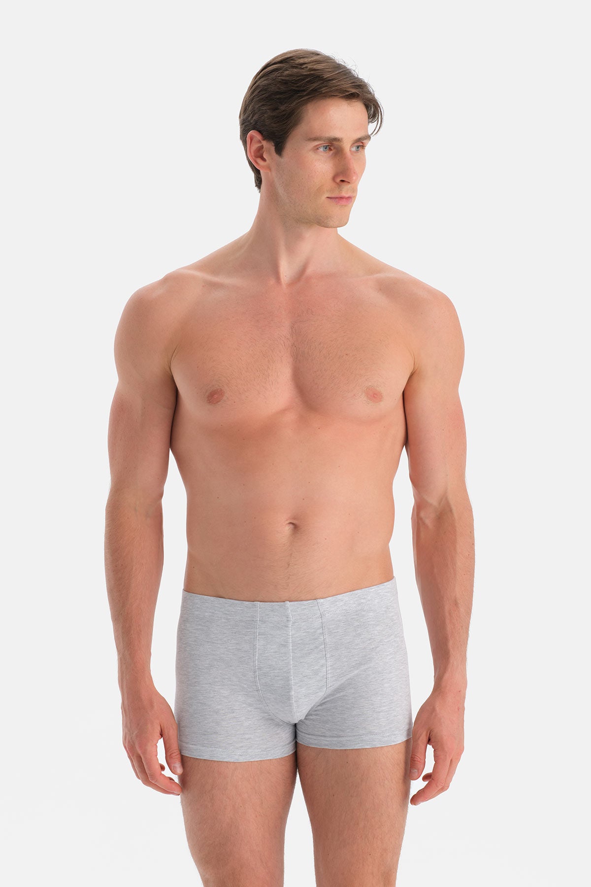 Beyaz-Gri 2'li Kumaş Kaplama Basic Boxer
