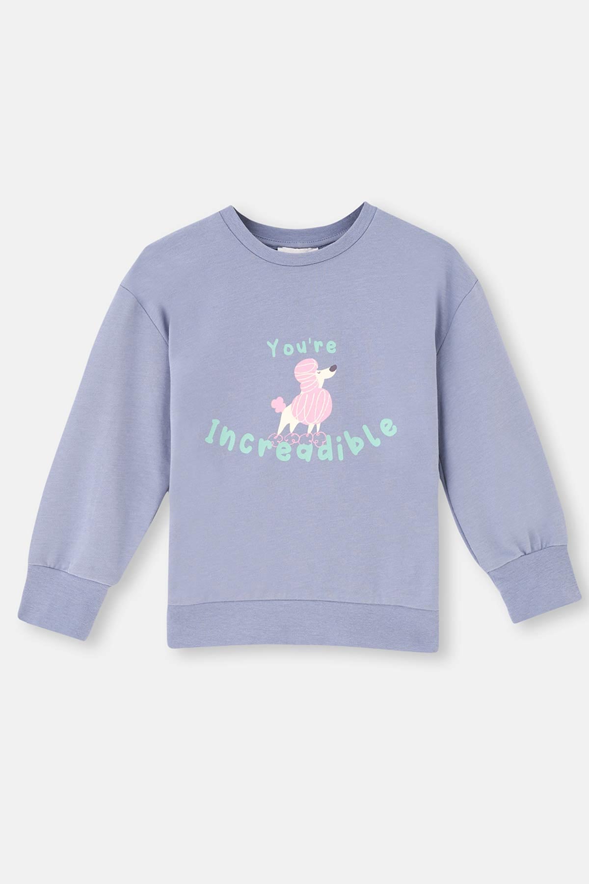 Buz Mavisi Buz si Uzun Kol Bisiklet Yaka Önü Baskılı Sweatshirt