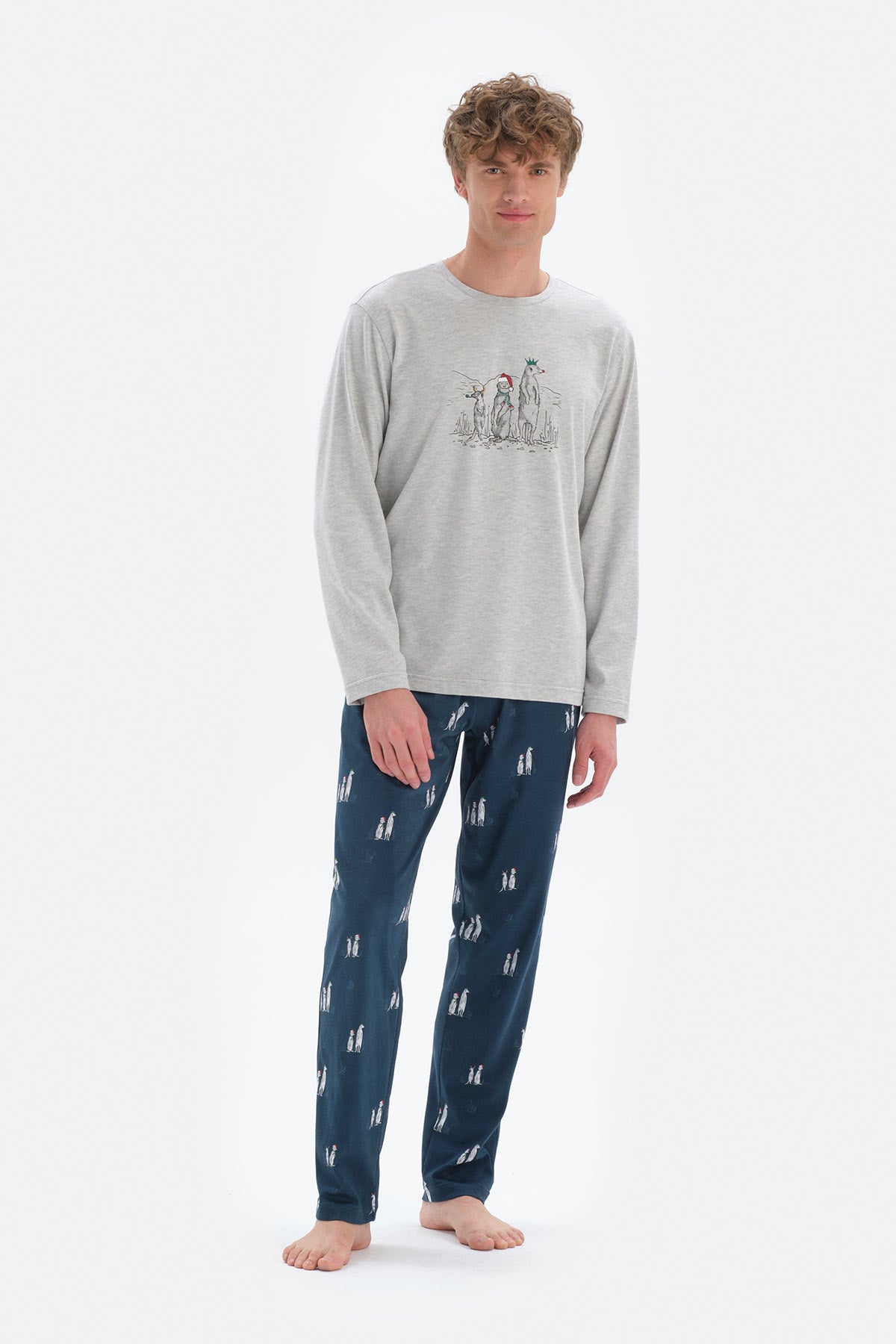 Gri Uzun Kol Bisiklet Yaka Pamuklu Pijama Takımı