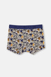 Lacivert Desenli Boxer
