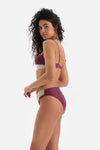 Bordo-Ekru Yüksek Bel Bikini Altı