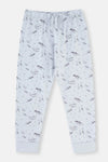Mavi Dinozor Baskılı Uzun Kollu Pijama Takımı