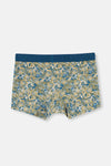 Yeşil Micro Modal Desenli 3'lü Boxer