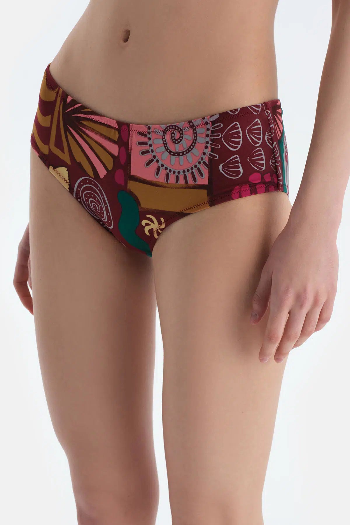 Multicolor Normal Bel Bikini Alt