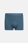 Mavi 2'li Desenli Pamuk Boxer
